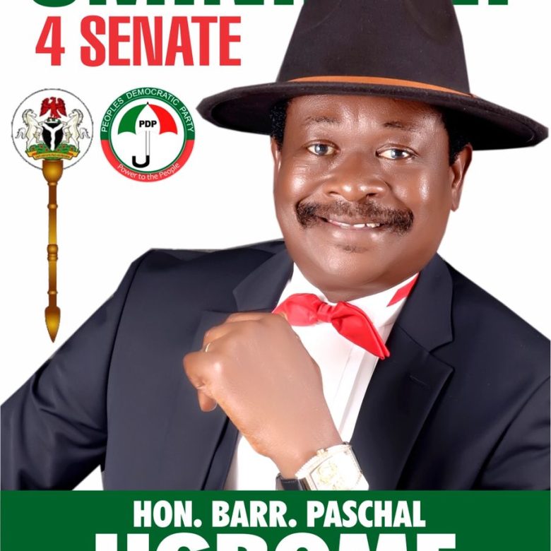 2023: Court orders INEC to recognize Ugbomeh, others as PDP candidates 2023: Court orders INEC to recognize Ugbomeh, others as PDP candidates