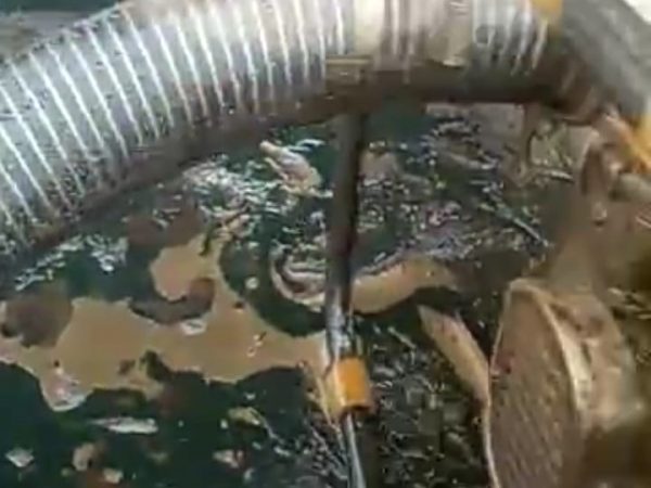 Security operatives Allegedly behind protection Of Crude Oil Thieves In Edo