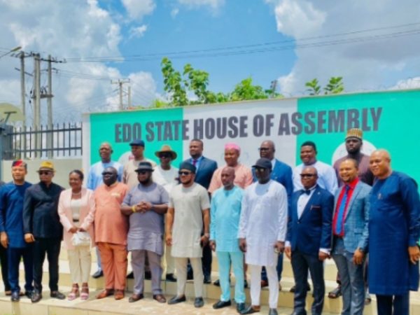 My desire is to fulfill the expectations of my constituency _ Edosa