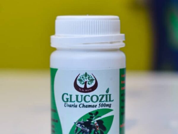 AAU Patents GLUCOZIL For Diabetes Treatment. Gets NAFDAC’s Approval. AAU Patents GLUCOZIL For Diabetes Treatment. Gets NAFDAC’s Approval.