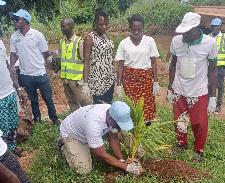   World Rivers Day: Benin Owena Management Plants trees at Ogba River