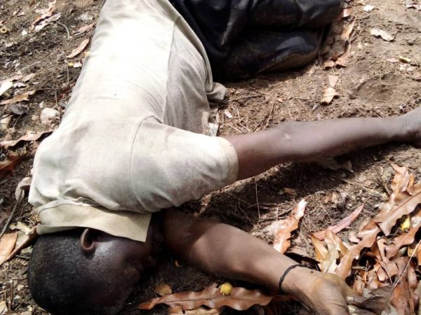 Herdsmen kill farmer in Ubuneke Ivbiaro ,Edo state