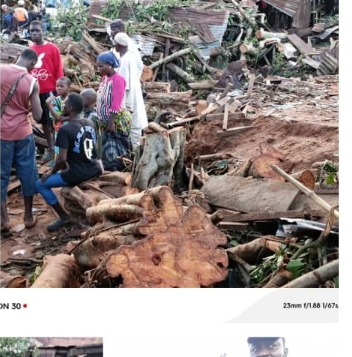 6 killed as trees fell on traders in Jattu market aftermath of heavy rain 6 killed as trees fell on traders in Jattu market aftermath of heavy rain