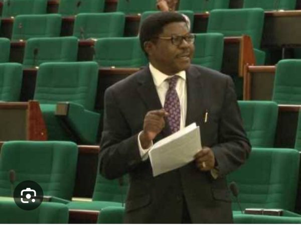 Edo 24: Pally Iriase Rejects Membership of APC Campaign Council Edo 24: Pally Iriase Rejects Membership of APC Campaign Council