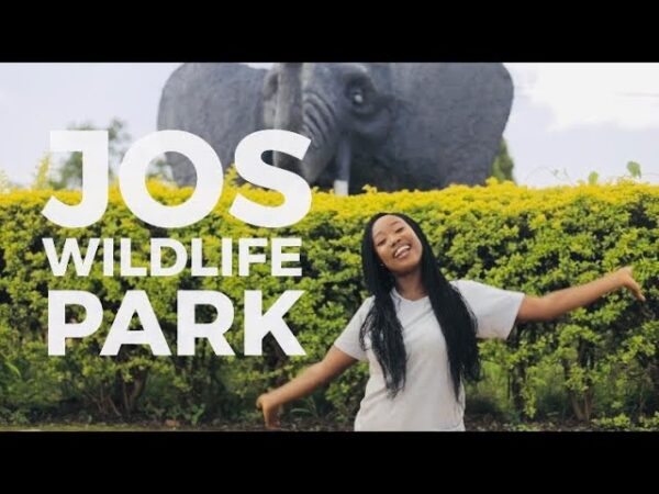 Jos wildlife Park revival ‘ll boost tourism in Plateau—Group Jos wildlife Park revival ‘ll boost tourism in Plateau—Group