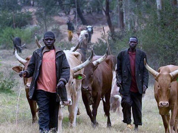 Okpekpe community mourns kinsmen Allegedly killed by Fulani Herdsmen Okpekpe community mourns kinsmen Allegedly killed by Fulani Herdsmen