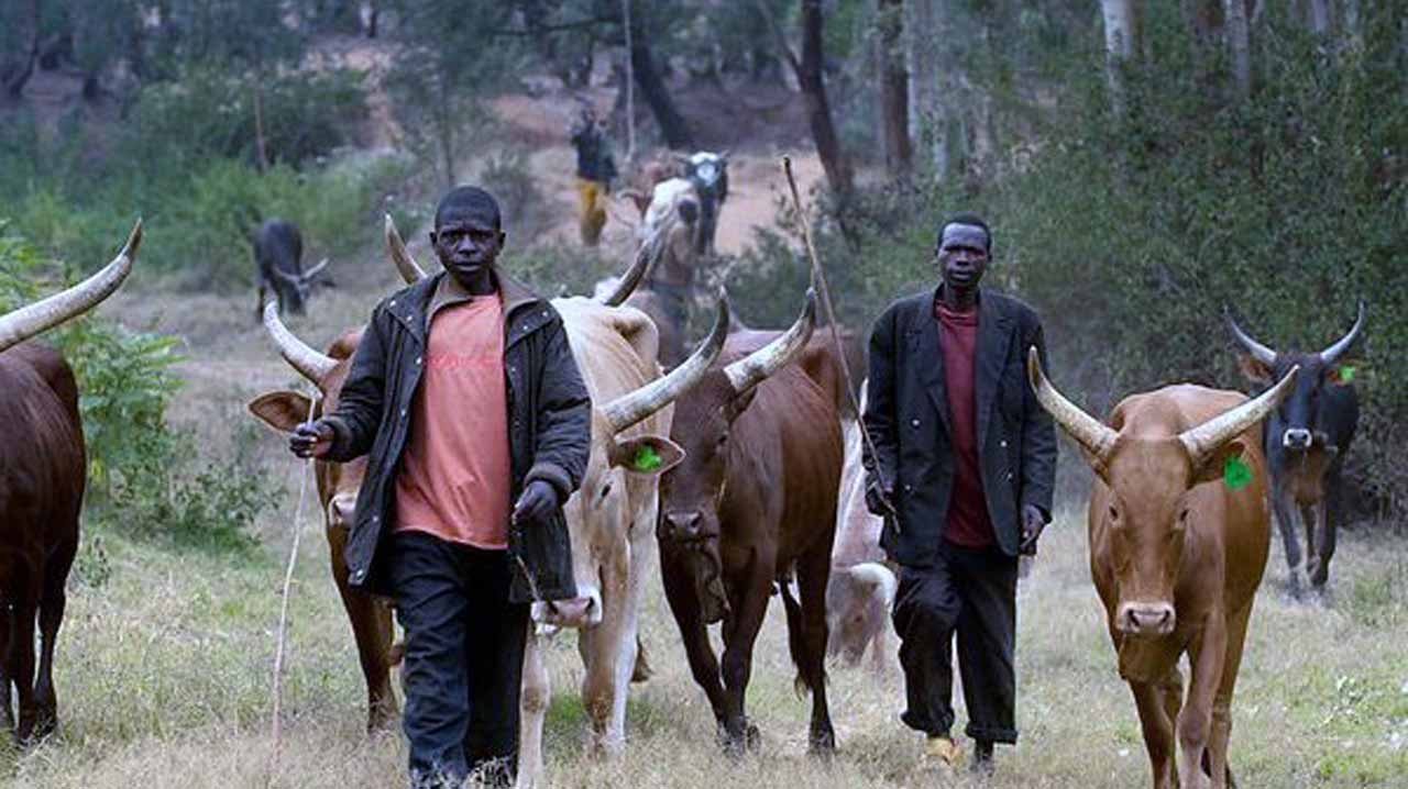 Okpekpe community mourns kinsmen Allegedly killed by Fulani Herdsmen Okpekpe community mourns kinsmen Allegedly killed by Fulani Herdsmen
