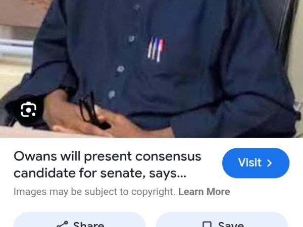 Yisa Braimoh Chairs ADC Strategic Committee on FundRaising Yisa Braimoh Chairs ADC Strategic Committee on FundRaising