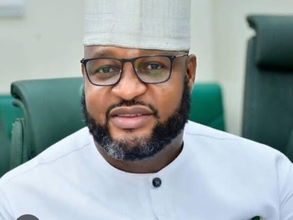 Insecurity: Edo North Legislators keep Mum as Ugabi raises motion on Okpella, Agenebode killings