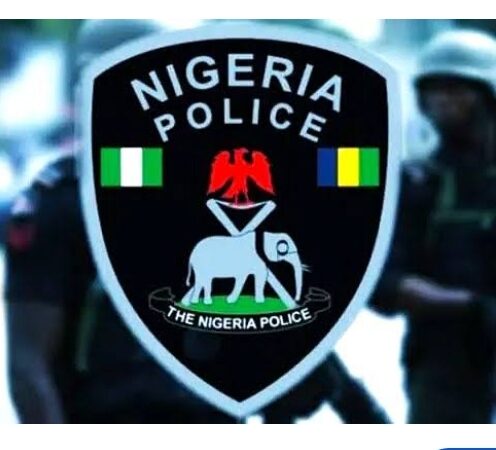 Edo Police Nab Suspect In Connection With Ayogwiri Children’s Murder Edo Police Nab Suspect In Connection With Ayogwiri Children’s Murder