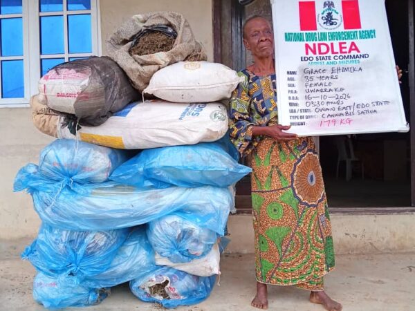 NDLEA Raids Owan East, Arrests 85 year old woman Over Drug Trafficking